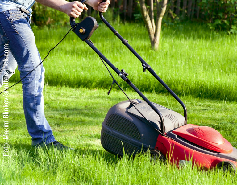 Wir unterstützen im Haushalt oder bei der Gartenarbeit.